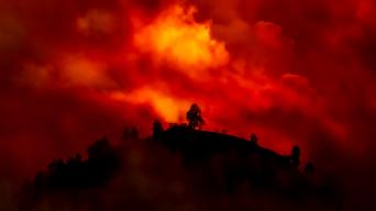 Shutterstock 1476127844 Bukit dengan pepohonan yang akan terbakar dalam api merah, oranye TheVagabond V.Schaal