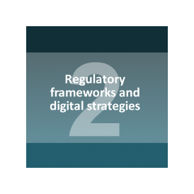 Regulatory frameworks and digital strategies