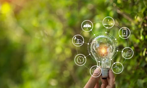 Safe(r) and Sustainable Innovation Approach (SSIA): Nano-Enabled and other Emerging Materials