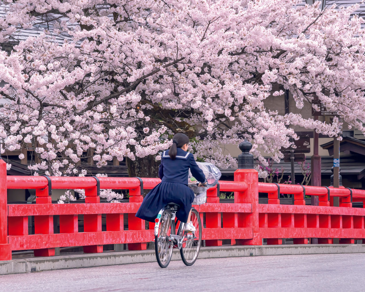 School girl riding bike in Japan