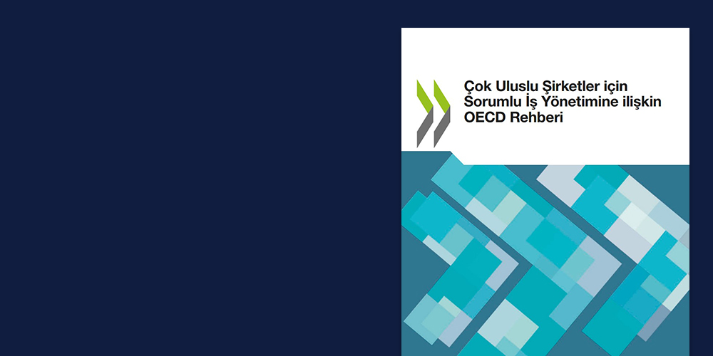 Turkish edition of the 2023 OECD guidelines for multinational enterprises on responsible business conduct