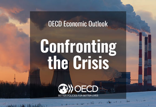 © OECD Economic Outlook: Confronting the crisis - November 2022