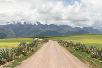 Carretera andina, Perú