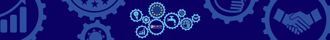 Banner to be used in joint OECD DG REFORM websites