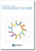 MNE Guidelines - Responsible business conduct matters CHINESE