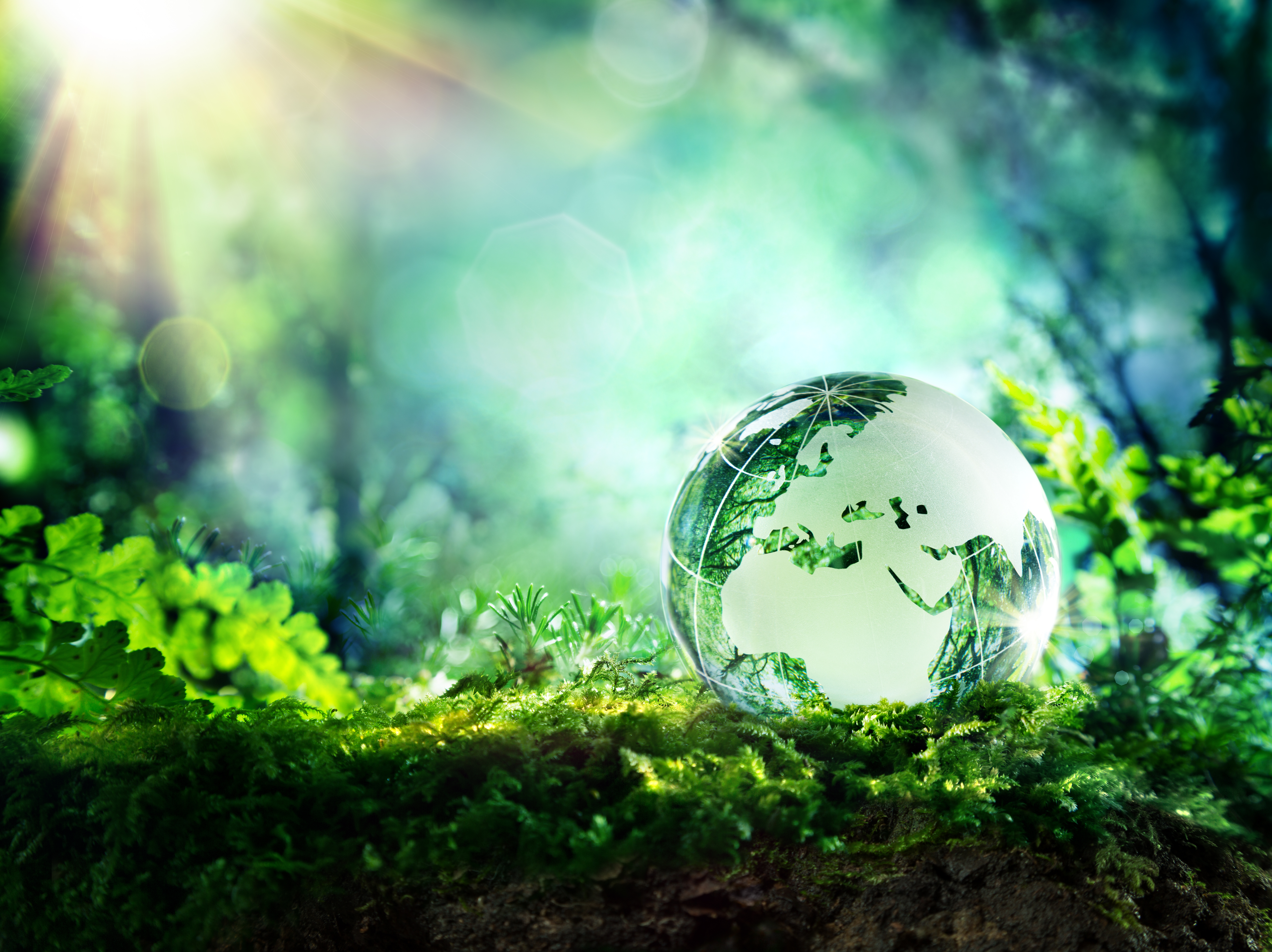 Global forum on environment - sustainable plastics