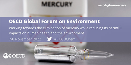 Global Forum on Environment dedicated to Mercury