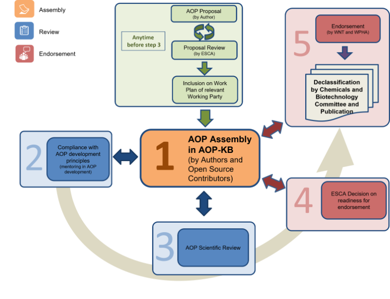 Representation of the AOP Development Process at the OECD
