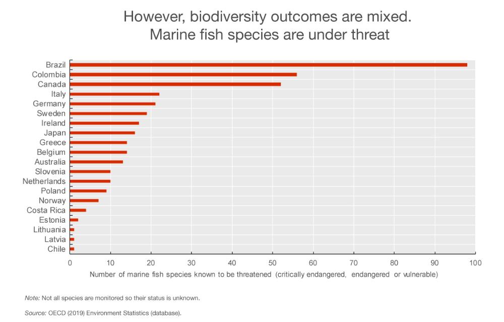 Ocean site_Biodiversity outcomes mixed