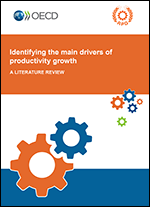 Identifying the main drivers of productivity growth: a literature review