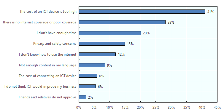 Main barriers experienced by women entrepreneurs in using the internet