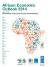 African Economic Outlook 2014