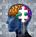 A puzzle depicting a human head with coloured brain regions.