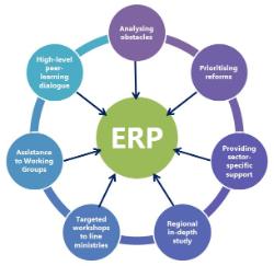 SEE ERP Cycle graphic