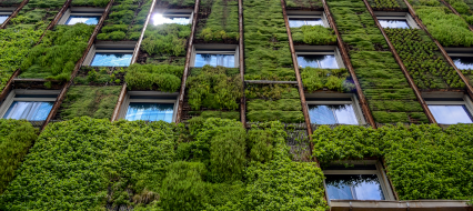 Wall of high-rise building covered with plants